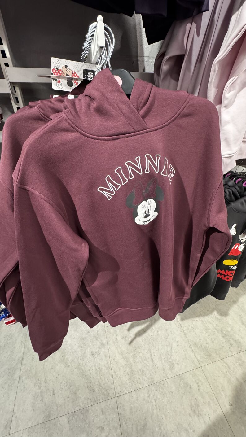 Primark — Moletom Disney