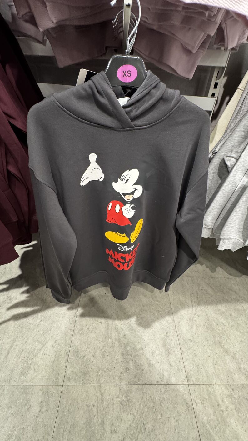 Primark — Moletom Disney